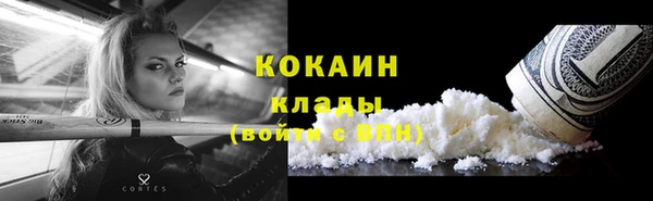 ПСИЛОЦИБИНОВЫЕ ГРИБЫ Михайлов