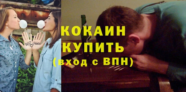 дмт Алексин