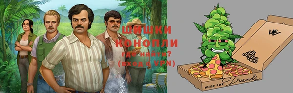 дмт Алексин