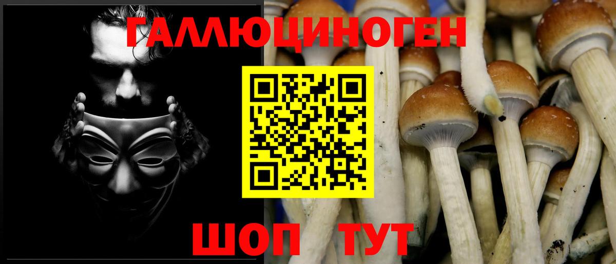 Галлюциногенные грибы Psilocybe Чебоксары